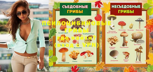 стаф Абдулино