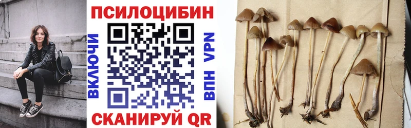 дарк нет официальный сайт  Алапаевск  Псилоцибиновые грибы Psilocybe 